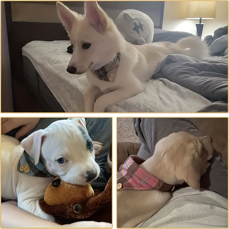 Collier pour chien- Classic Plaid Pet