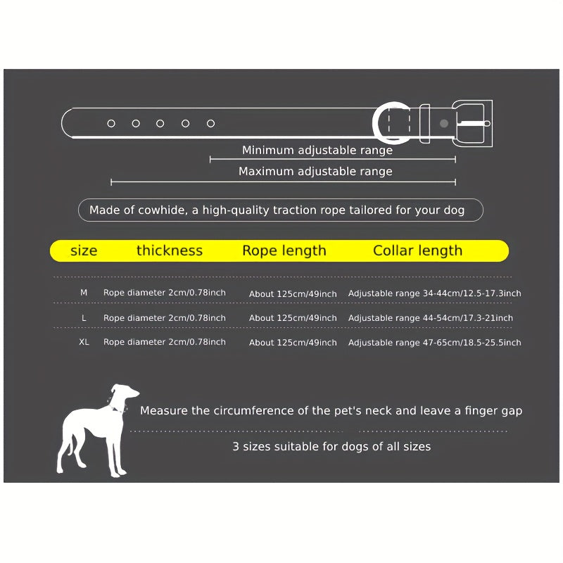 Laisse pour chien- Strong Cowhide Dog Leash and Collar