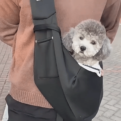 Sac de transport pour chien - bandoulière mains libres