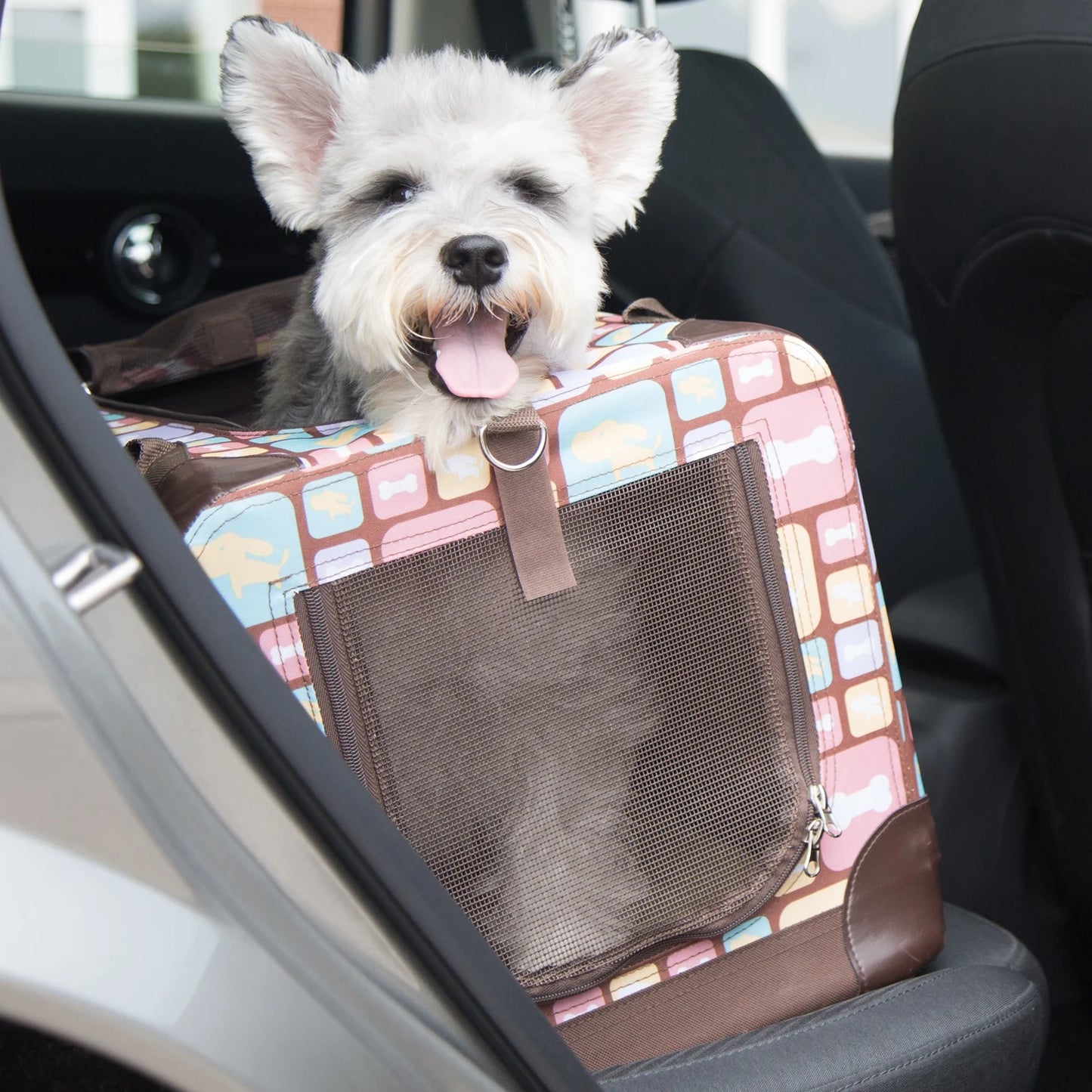 Caisse de transport chien- Ployvalent transporteur