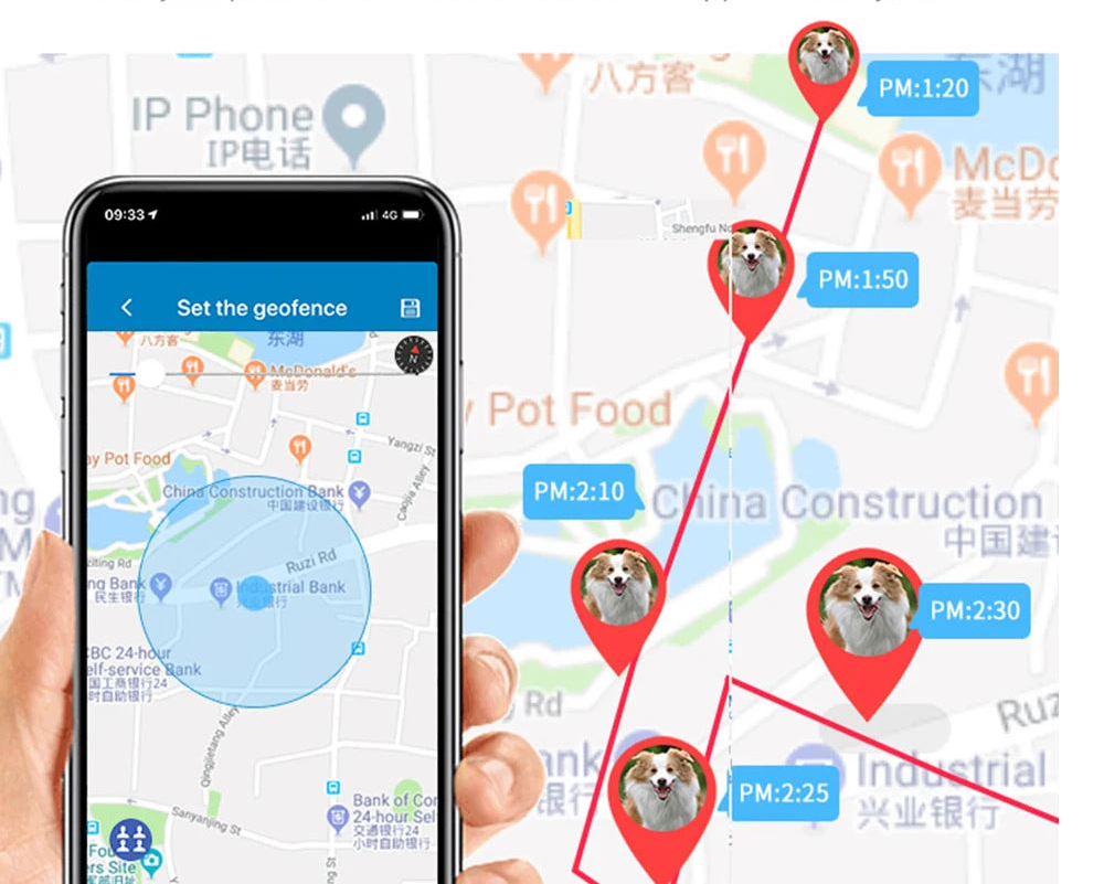 Collier gps pour chien- TKSTAR Mini GPS 2G