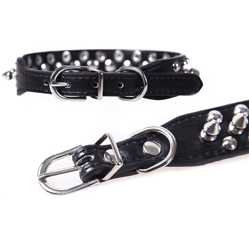 Collier de dressage pour chien- Collier anti morsure Plus