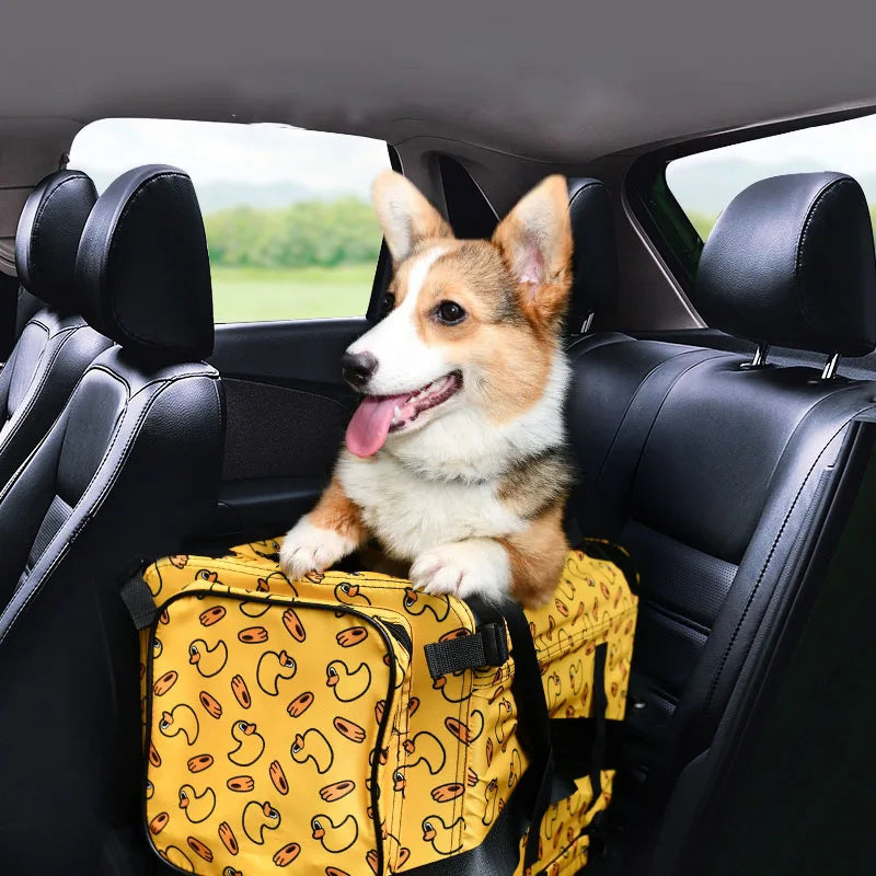 Caisse de transport chien- Ployvalent transporteur