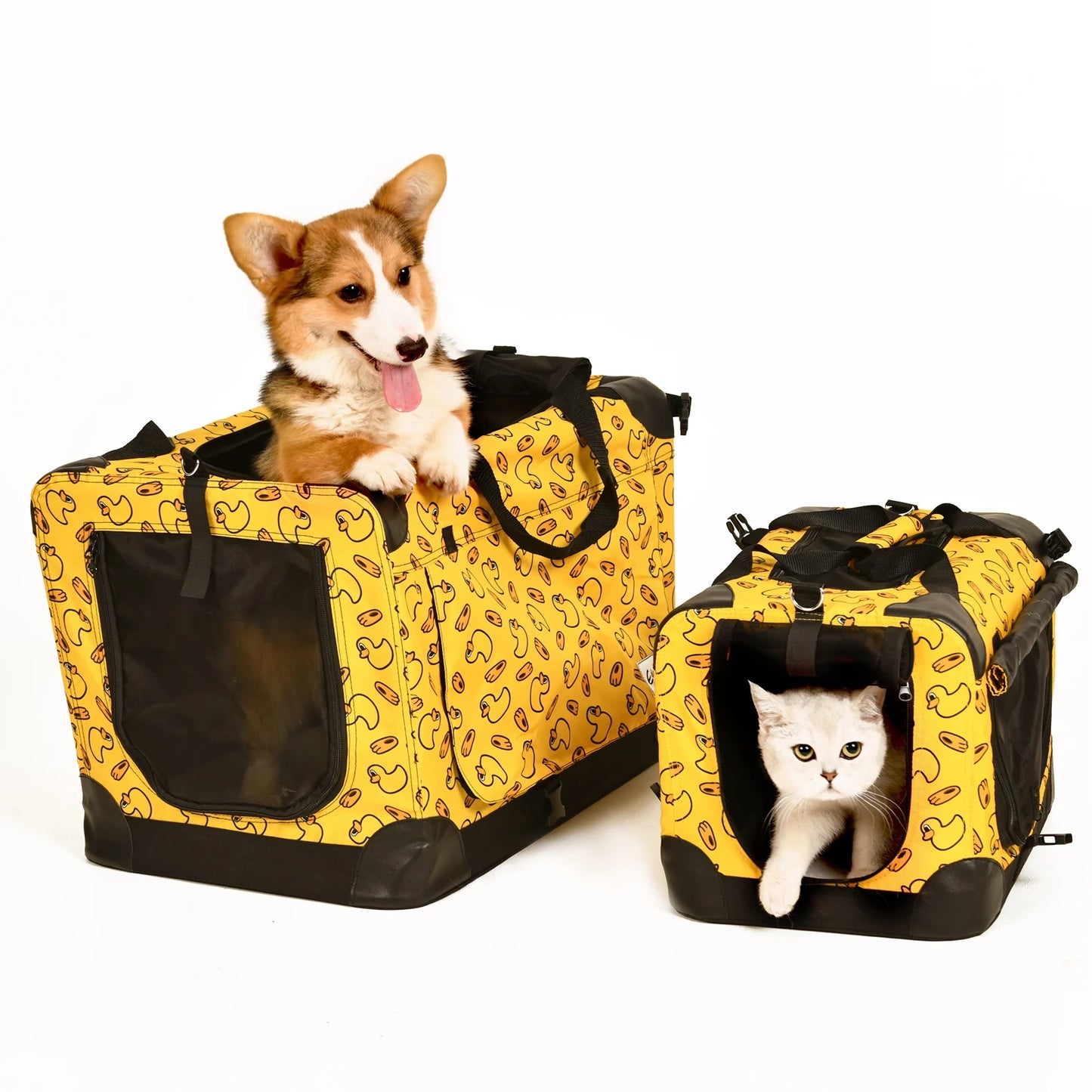 Caisse de transport chien- Ployvalent transporteur