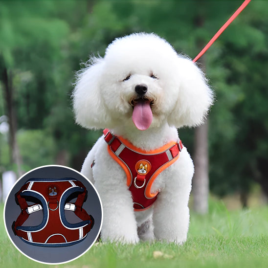 Harnais chien anti traction- VGEBY DOG