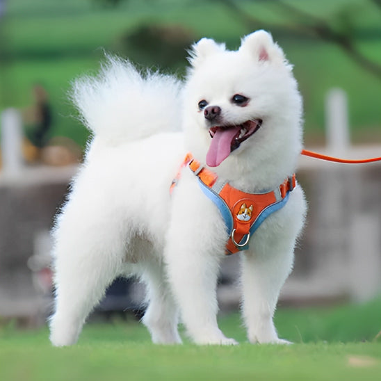 Harnais chien anti traction- VGEBY DOG