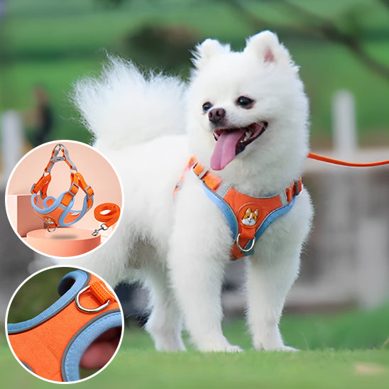 Harnais chien anti traction- VGEBY DOG