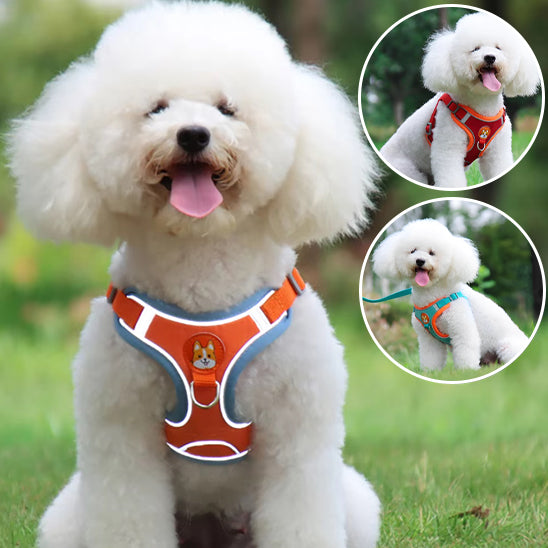 Harnais chien anti traction- VGEBY DOG