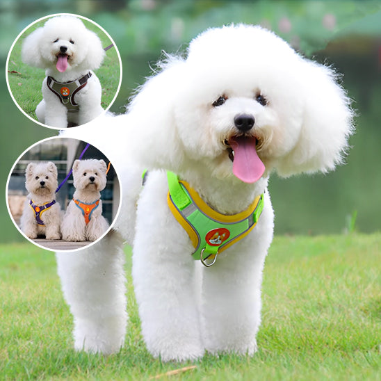Harnais chien anti traction- VGEBY DOG
