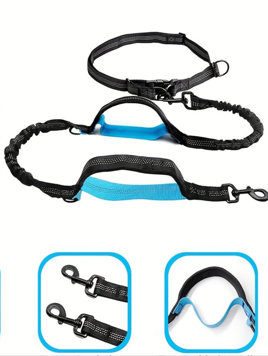 Laisses mains libres pour chiens - Laisse pour chien Jogging Plus
