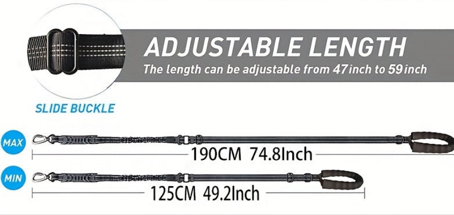 Laisse de chien- Bungee anti traction