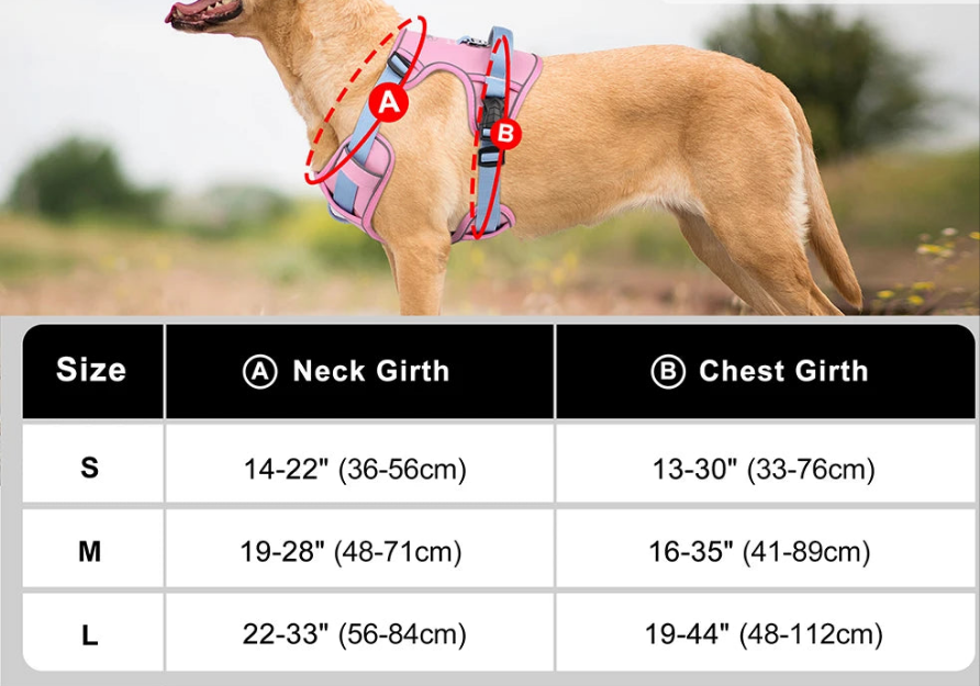 Harnais chien anti traction- Robuste Didog