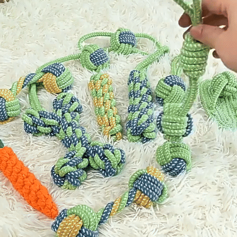 Jouet pour chien- 7 PCS Corde