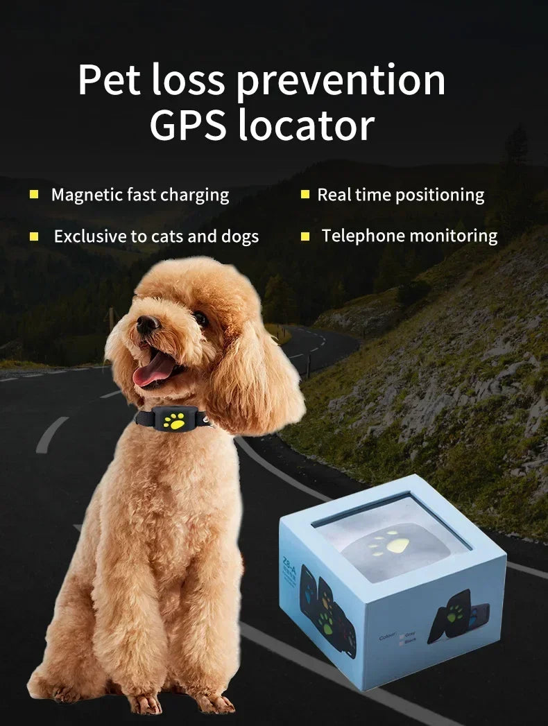 Collier GPS pour chien- Anti-Loss Real-Time Tracking
