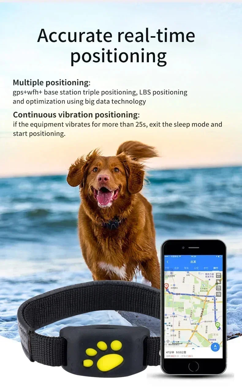 Collier GPS pour chien- Anti-Loss Real-Time Tracking
