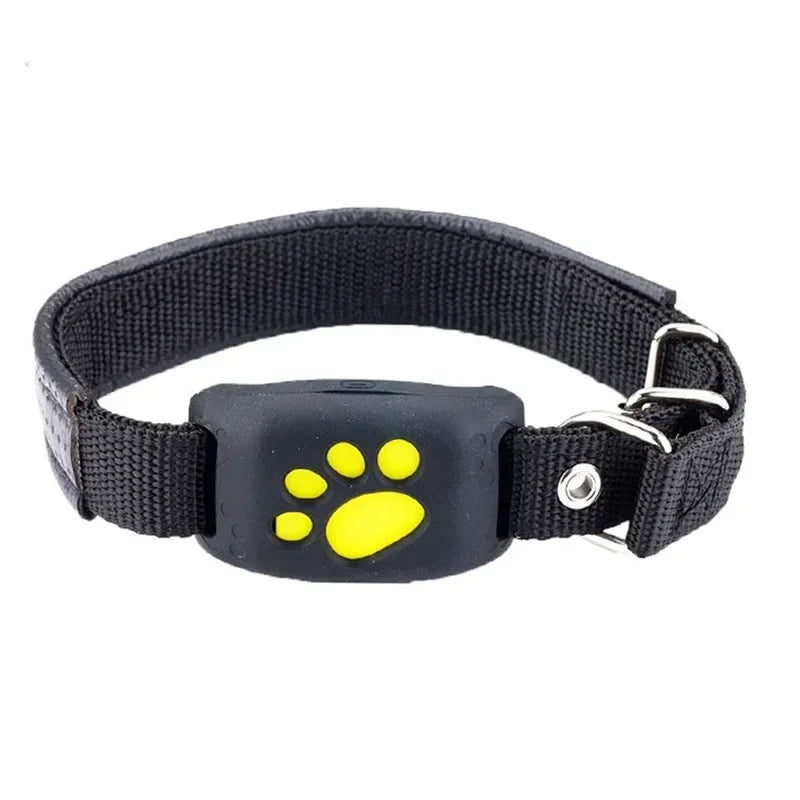 Collier GPS pour chien- Anti-Loss Real-Time Tracking