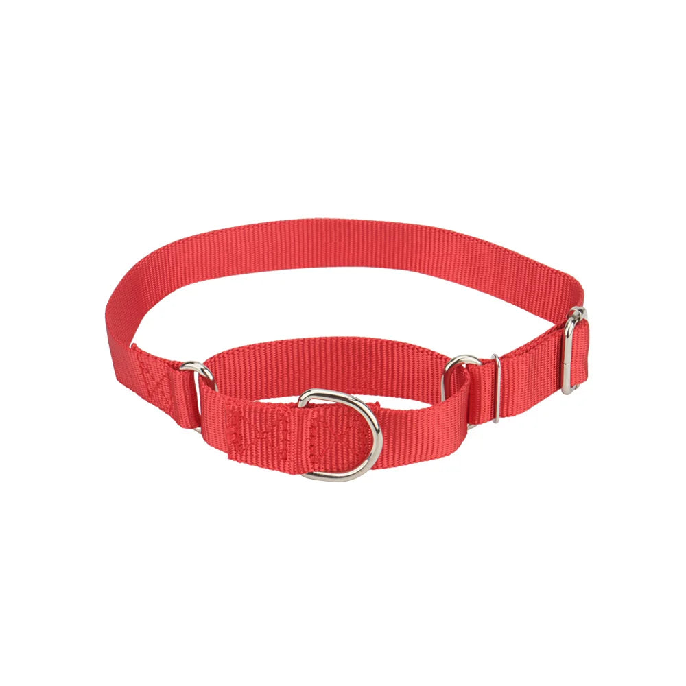 Collier de dressage pour chien- Martingale Plus