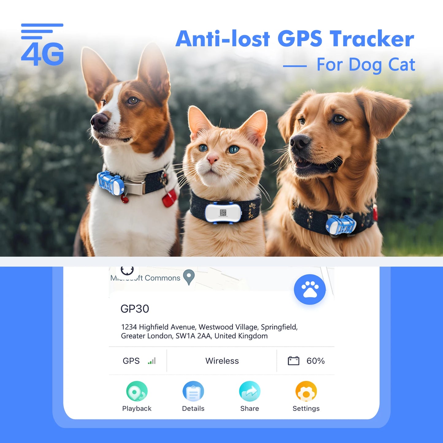 Collier gps pour chien- Location anti perte