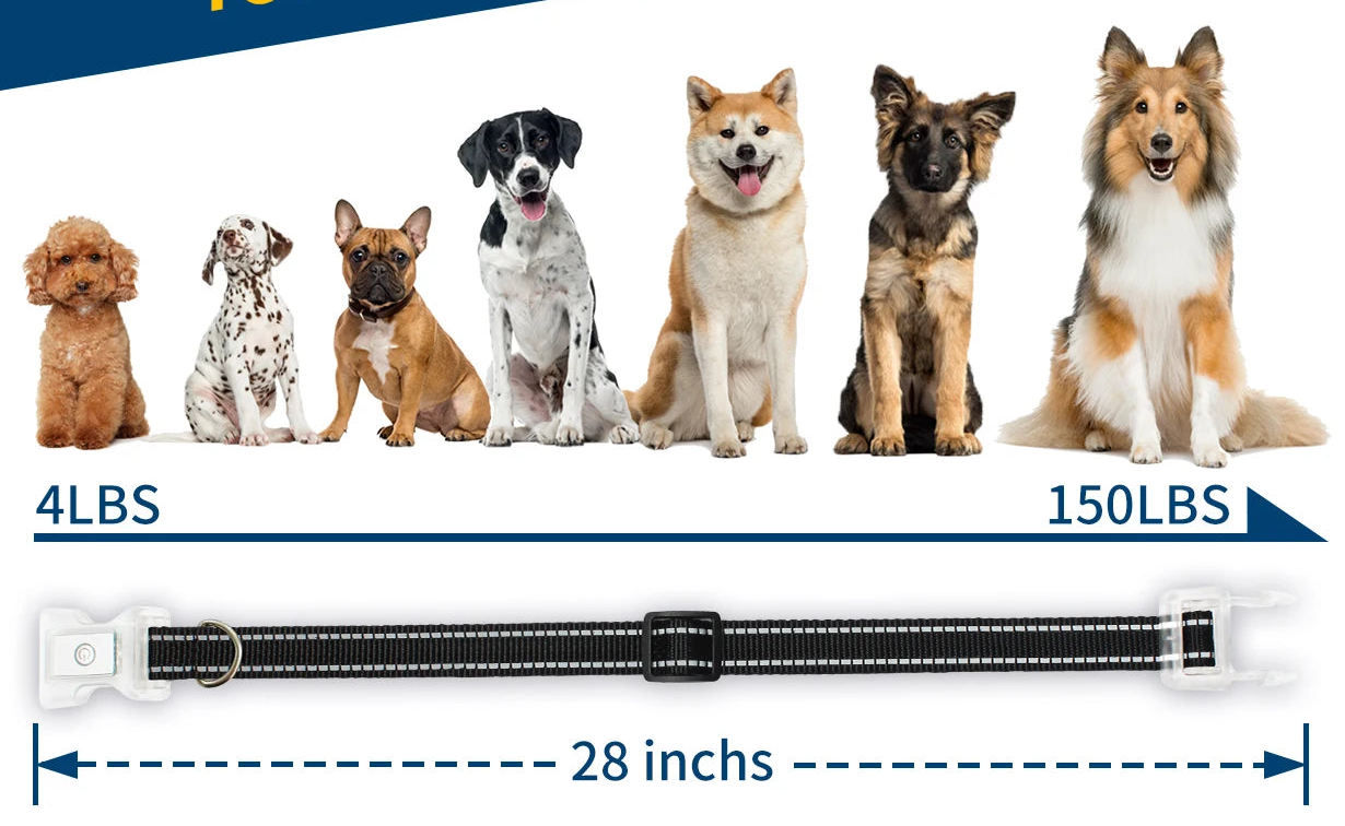 Collier chien lumineux-Collier-Anti-Perte-LED