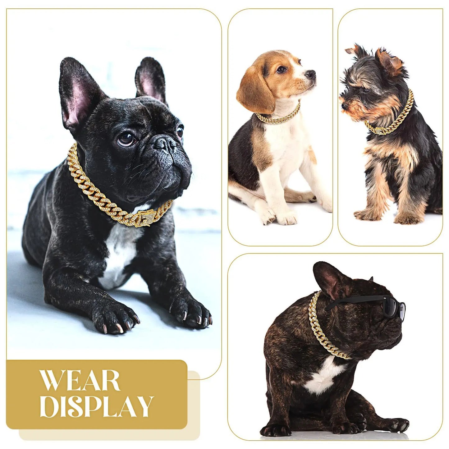 Collier chien- Rhinestone Gold Dog Chain