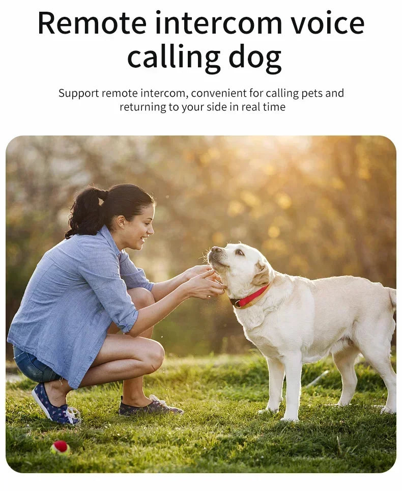 Collier GPS pour chien- Anti-Loss Real-Time Tracking