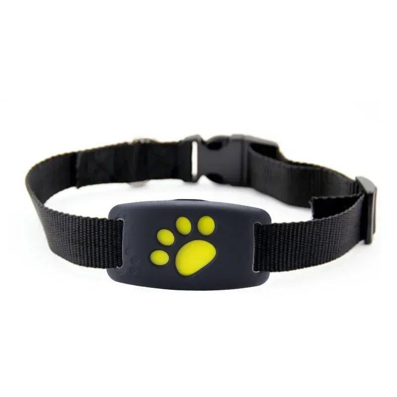 Collier GPS pour chien- Anti-Loss Real-Time Tracking