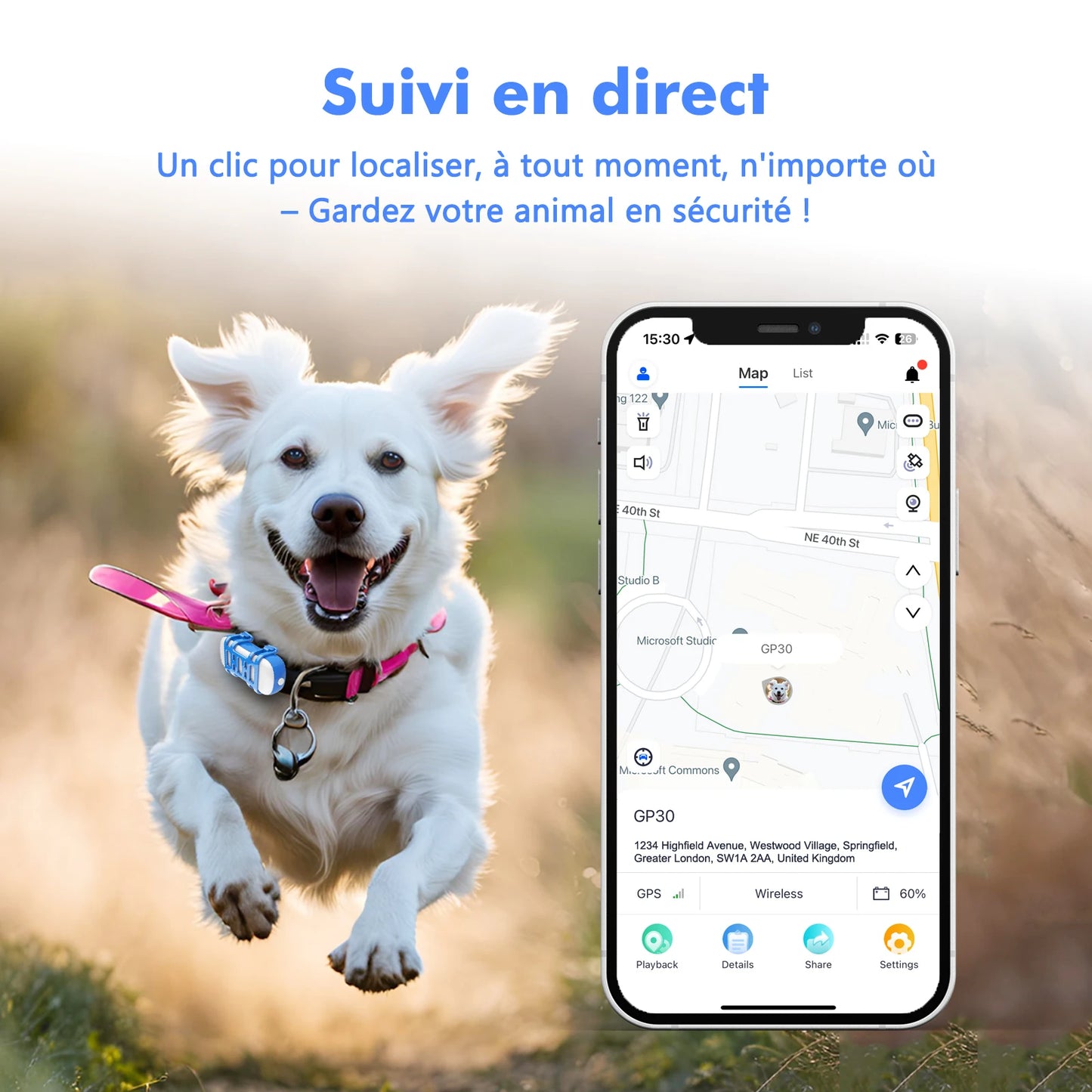 Collier gps pour chien- Location anti perte