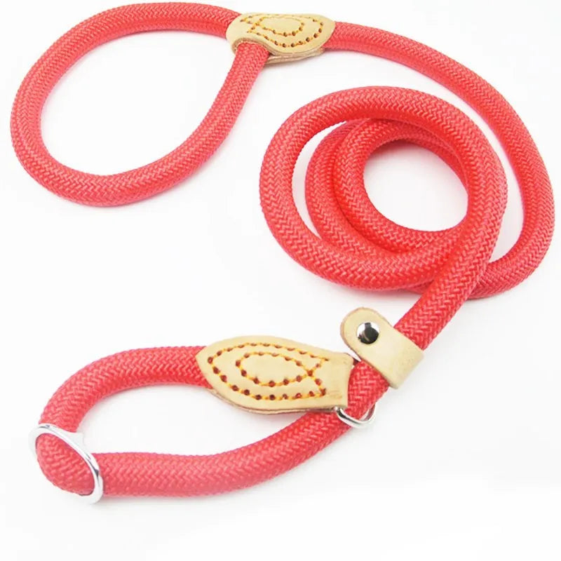 Laisse pour chien- P Chain Dog Leash Slip Collar