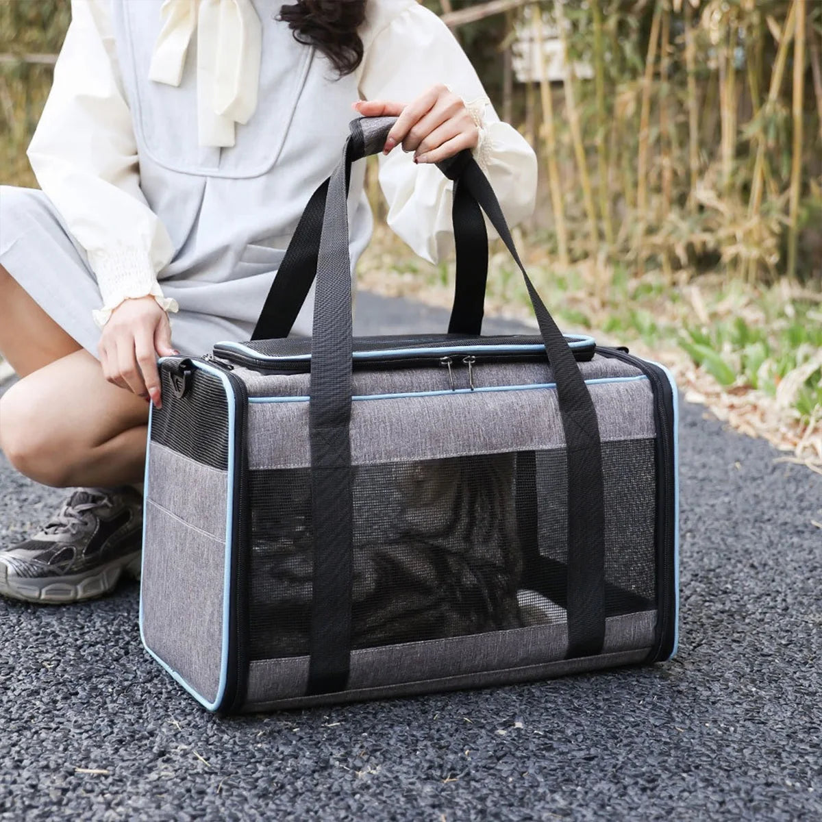 Chien sac de transport - Respi-transporteur