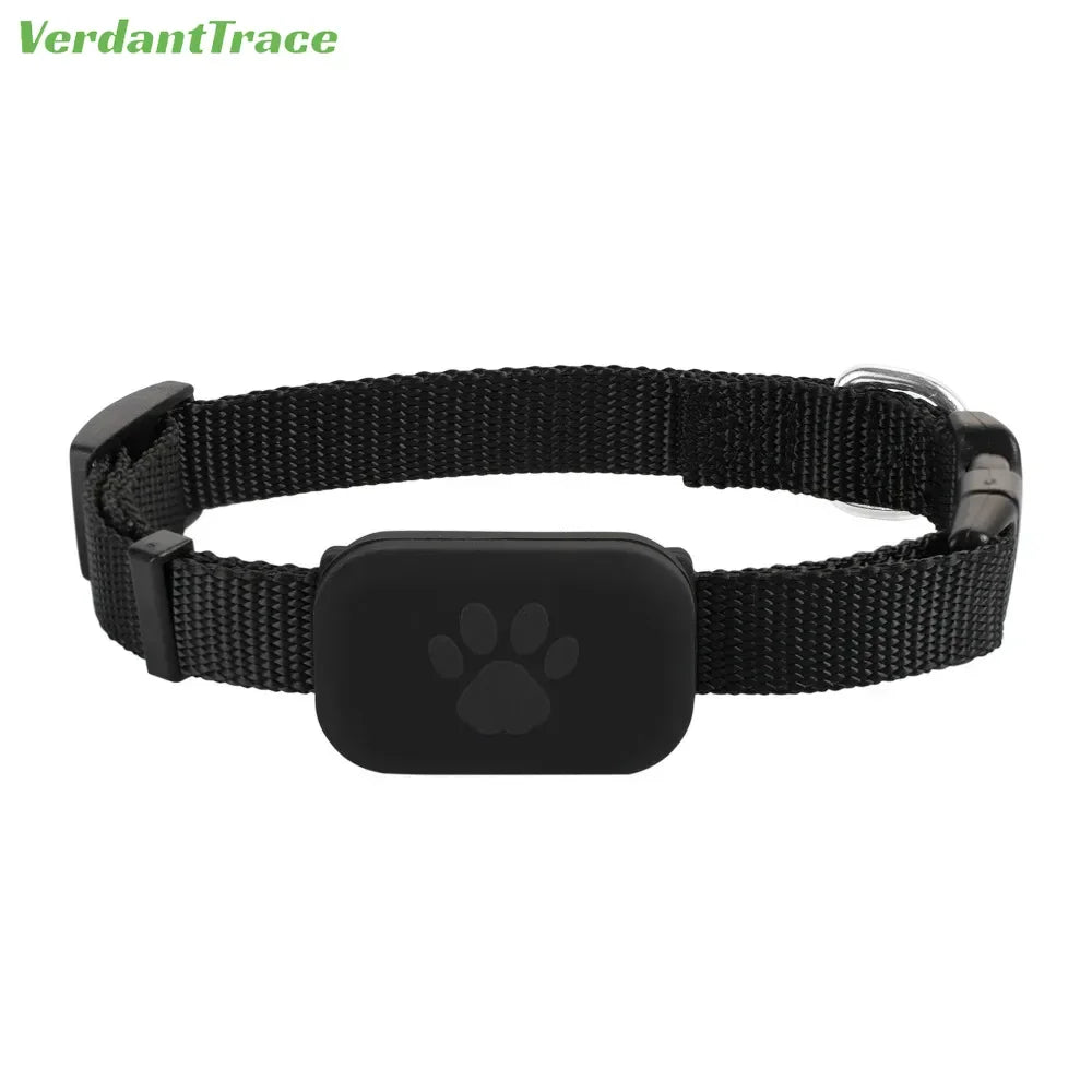 collier gps chien- Global Locator