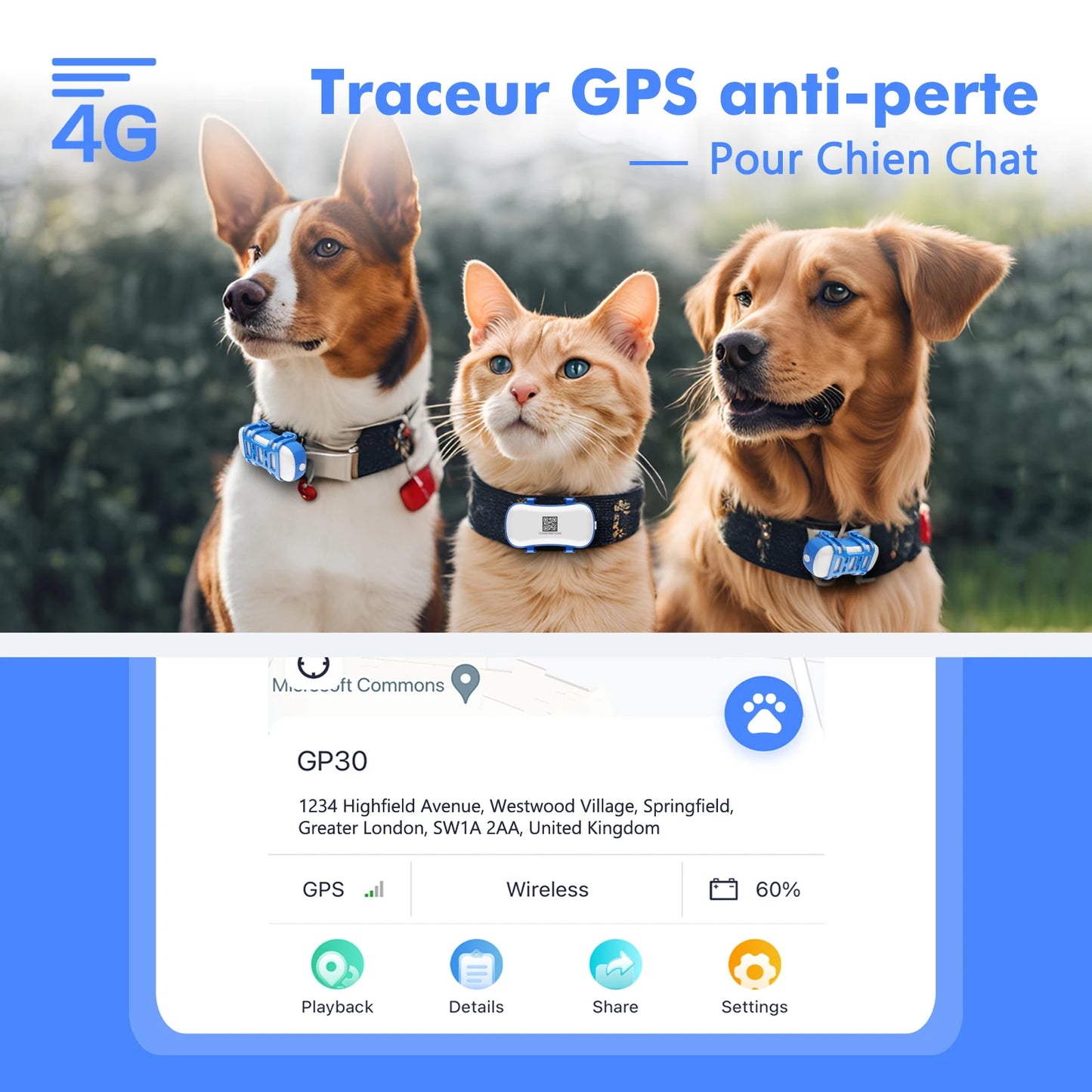 Collier gps pour chien- Location anti perte