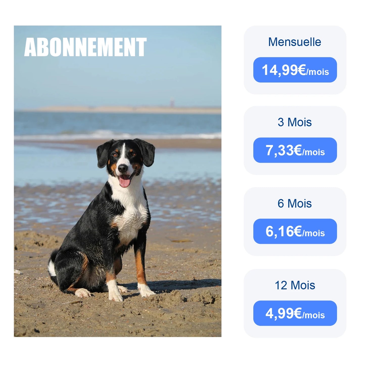 Collier gps pour chien- Location anti perte