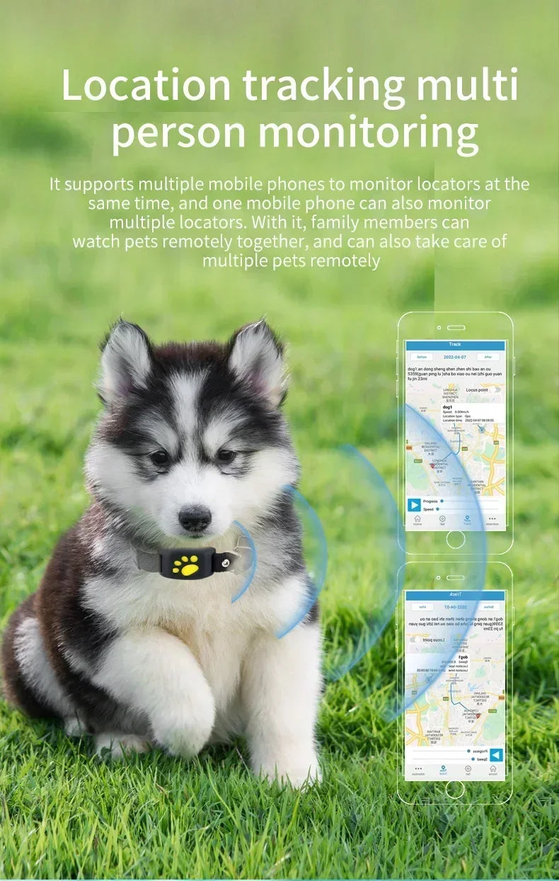 Collier GPS pour chien- Anti-Loss Real-Time Tracking