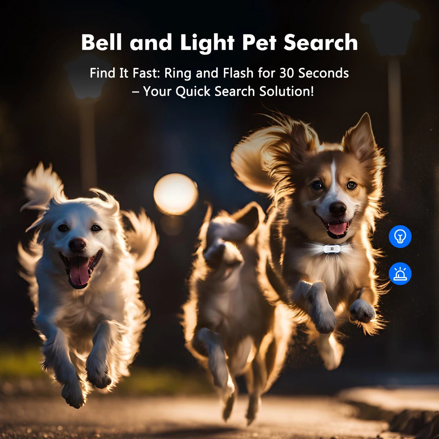 Collier gps pour chien- Location anti perte
