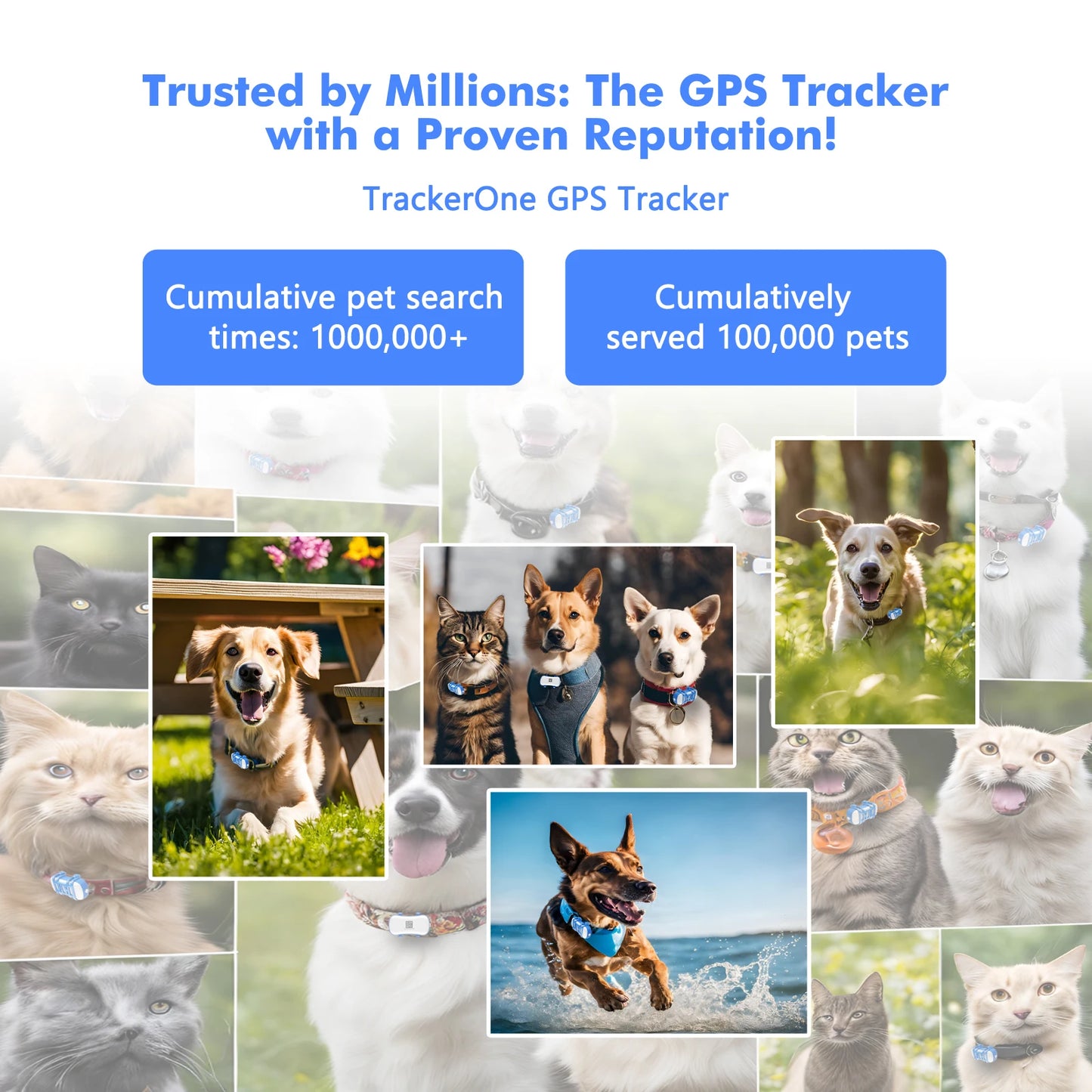 Collier gps pour chien- Location anti perte