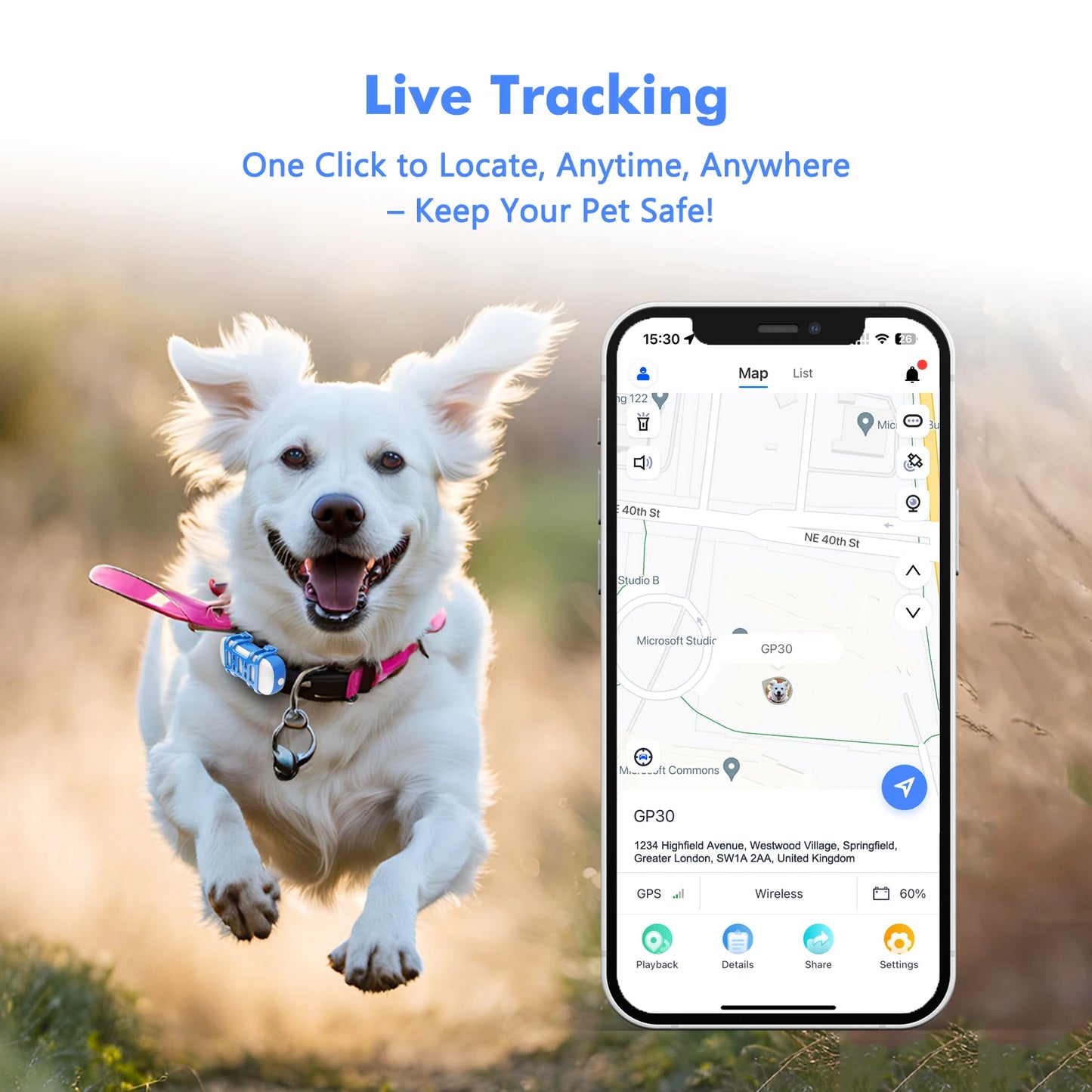 Collier gps pour chien- Location anti perte