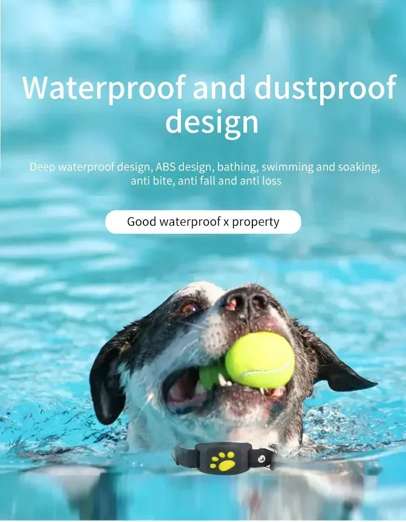 Collier GPS pour chien- Anti-Loss Real-Time Tracking