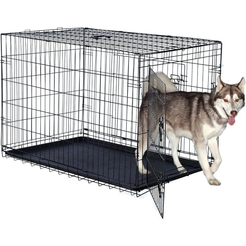 Cage chien - Compacte Robustesse - Le Chihuahua Voyageur