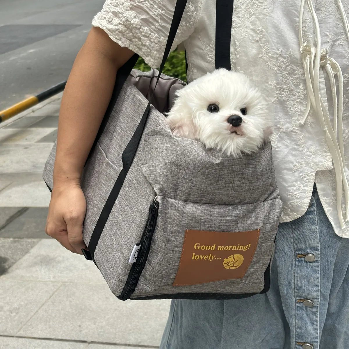 Caisse pour chien - Good Morning Lovely - Le Chihuahua Voyageur