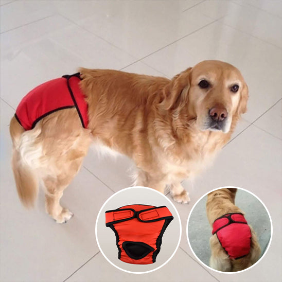 couche-pour-chien-dog-usage-multiple
