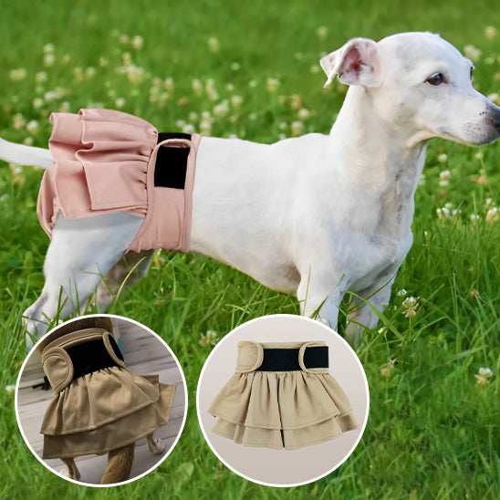 couches-chiens-robe-culotte