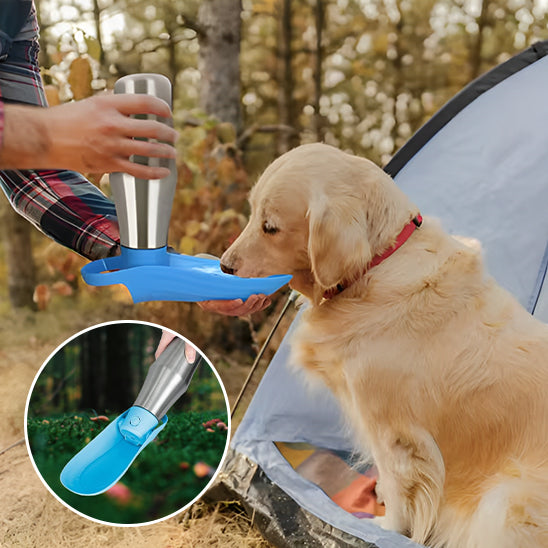 gourde-pour-chien-camping