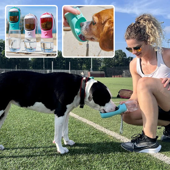 Gourde pour chien- Duo attache