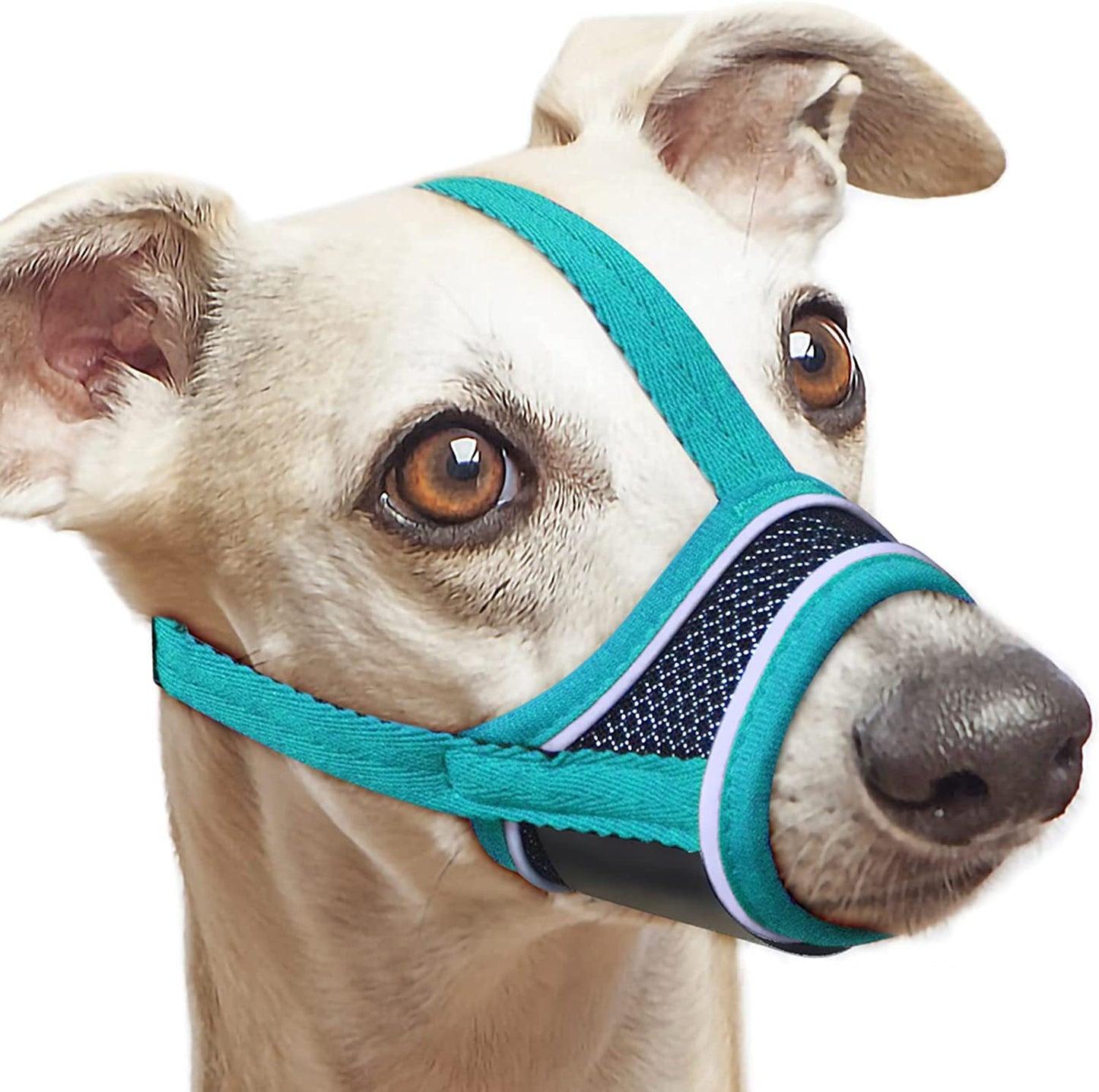 Muselière chien- Total Souplesse en maille* Turquoise