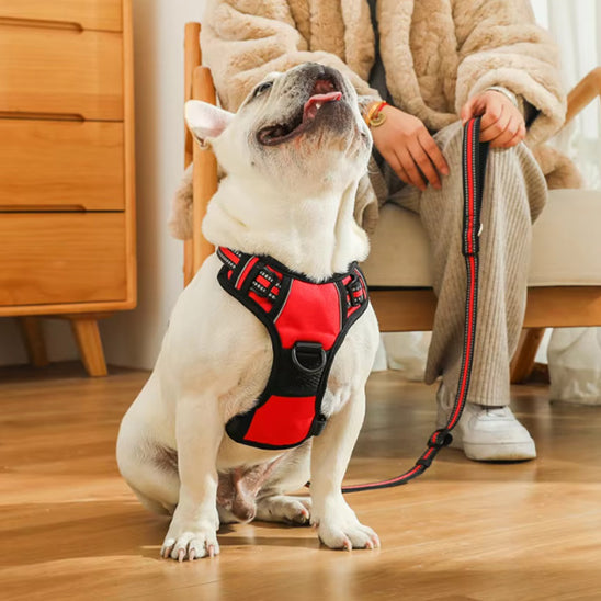 Harnais chien anti traction- True love