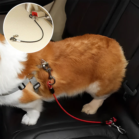 Laisse pour chien-Wire polyvalent