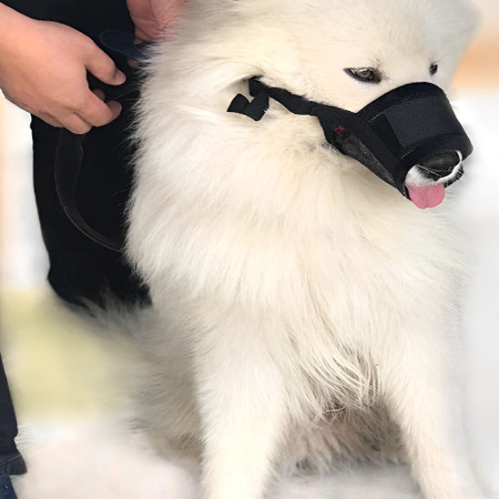 Muselière chien- Souple en maille* Bleu