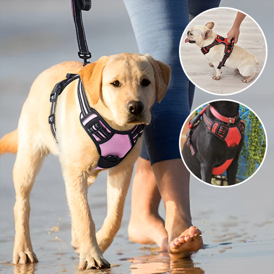 Harnais chien anti traction- True love