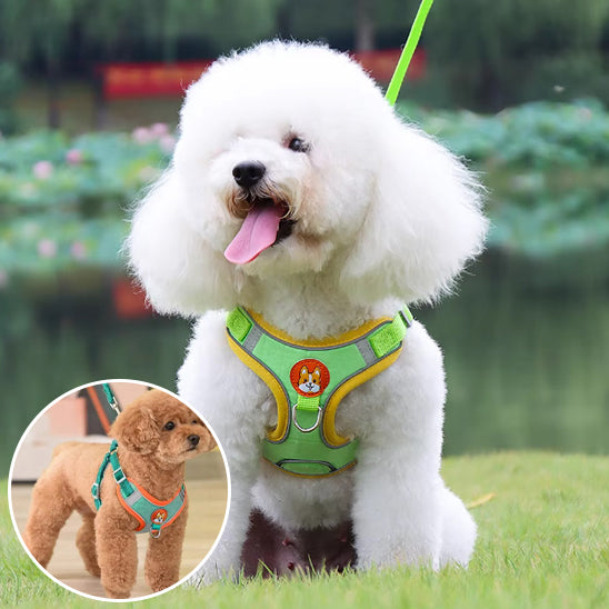 Harnais chien anti traction- VGEBY DOG