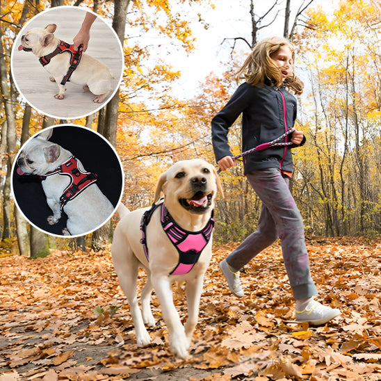 Harnais chien anti traction- True love